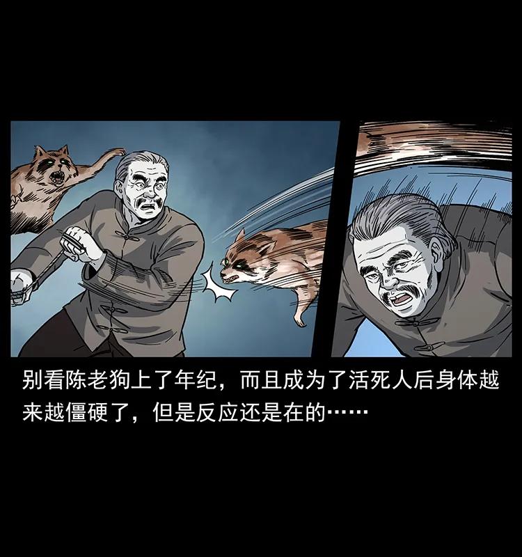 幽冥诡匠 252 危机！危机 第67页