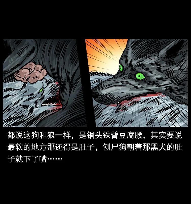 幽冥诡匠 252 危机！危机 第26页