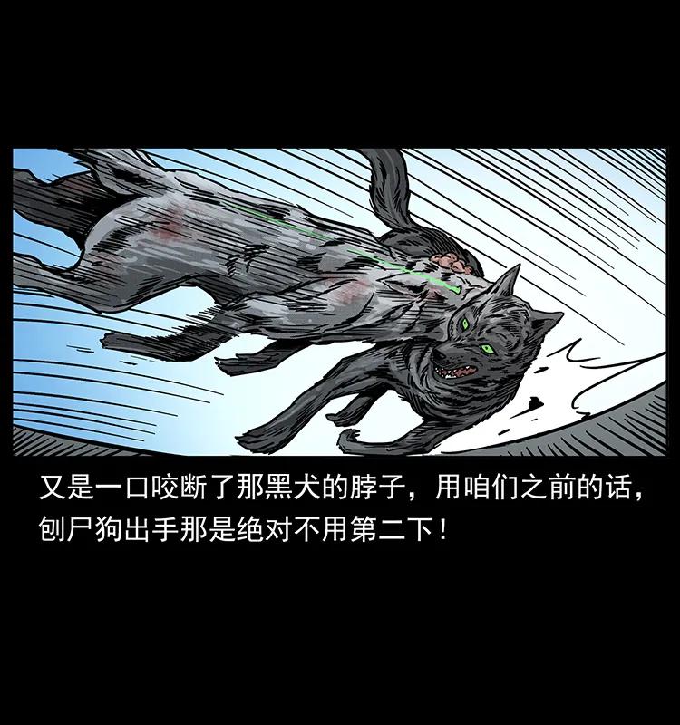 幽冥诡匠 252 危机！危机 第34页