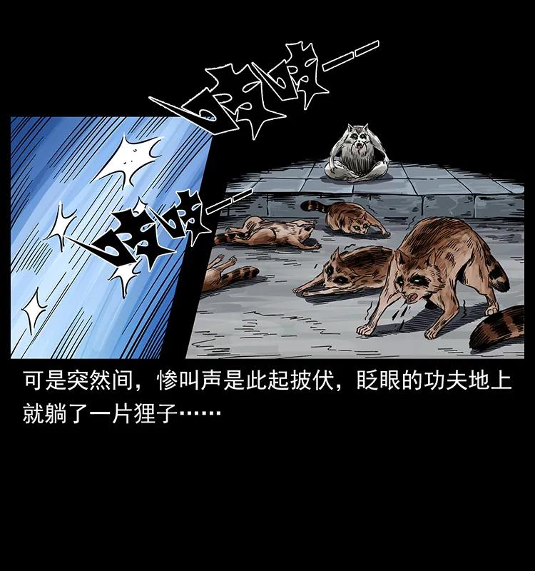 幽冥诡匠 252 危机！危机 第76页