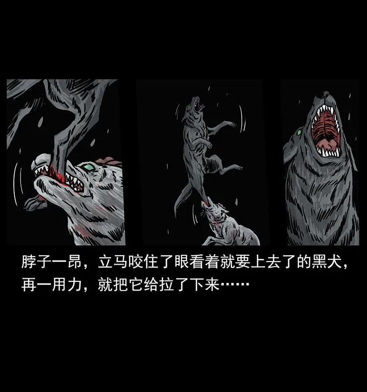 幽冥诡匠 252 危机！危机 第60页