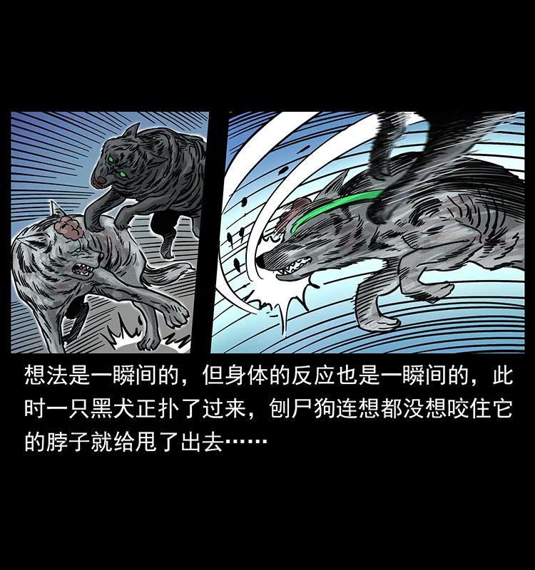 幽冥诡匠 252 危机！危机 第46页