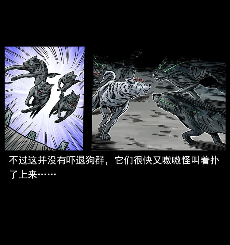 幽冥诡匠 252 危机！危机 第19页