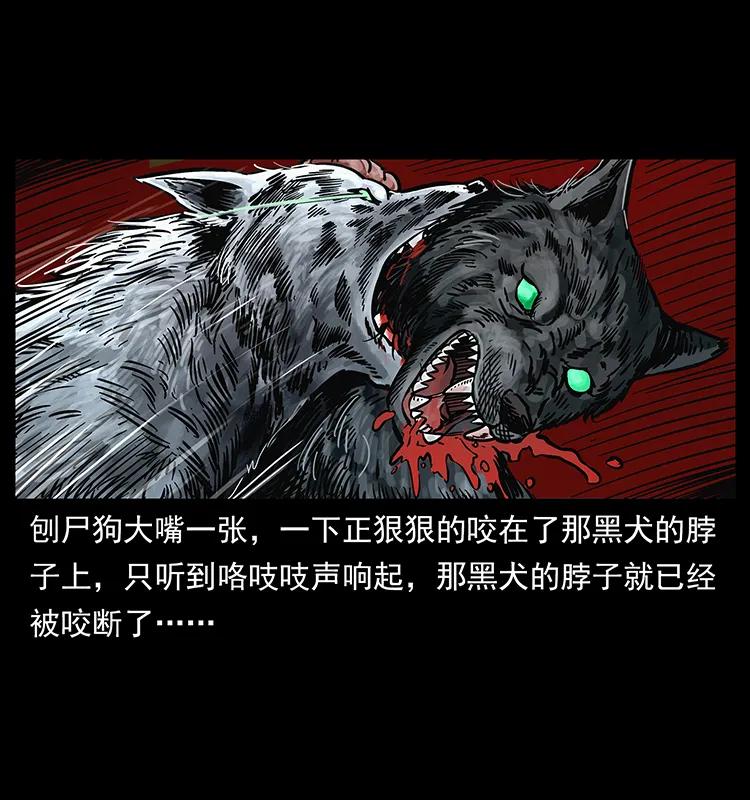 幽冥诡匠 252 危机！危机 第16页