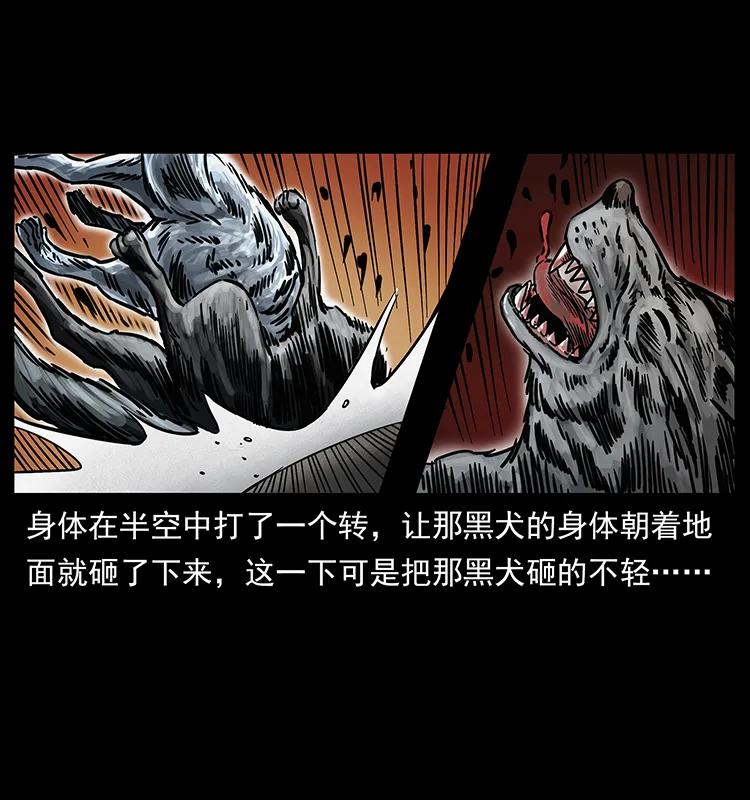 幽冥诡匠 252 危机！危机 第7页