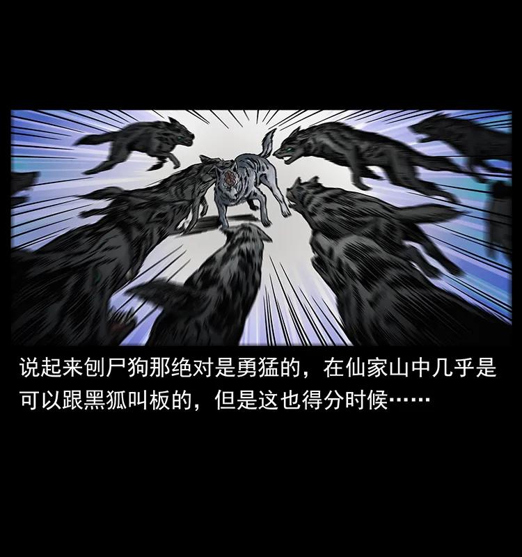 幽冥诡匠 252 危机！危机 第3页