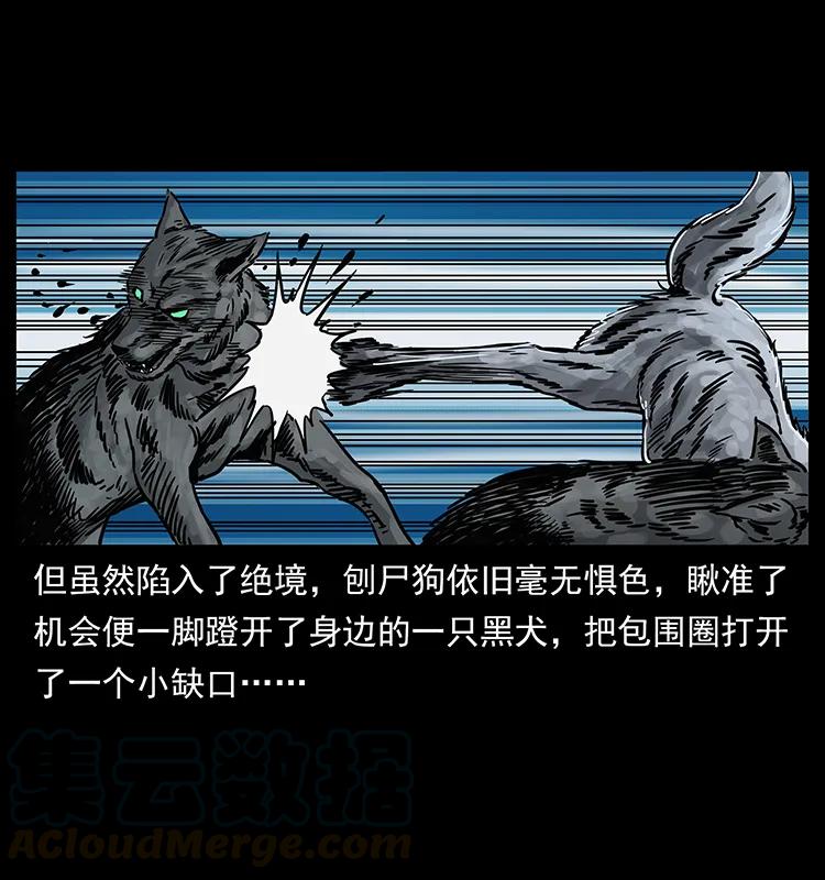 幽冥诡匠 252 危机！危机 第5页