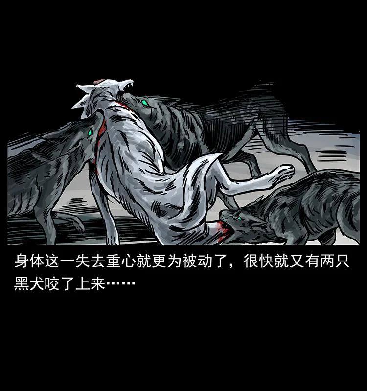 幽冥诡匠 252 危机！危机 第22页