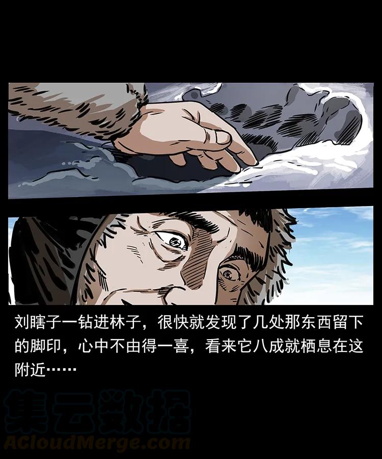 幽冥诡匠 253 昆仑神兽 第29页