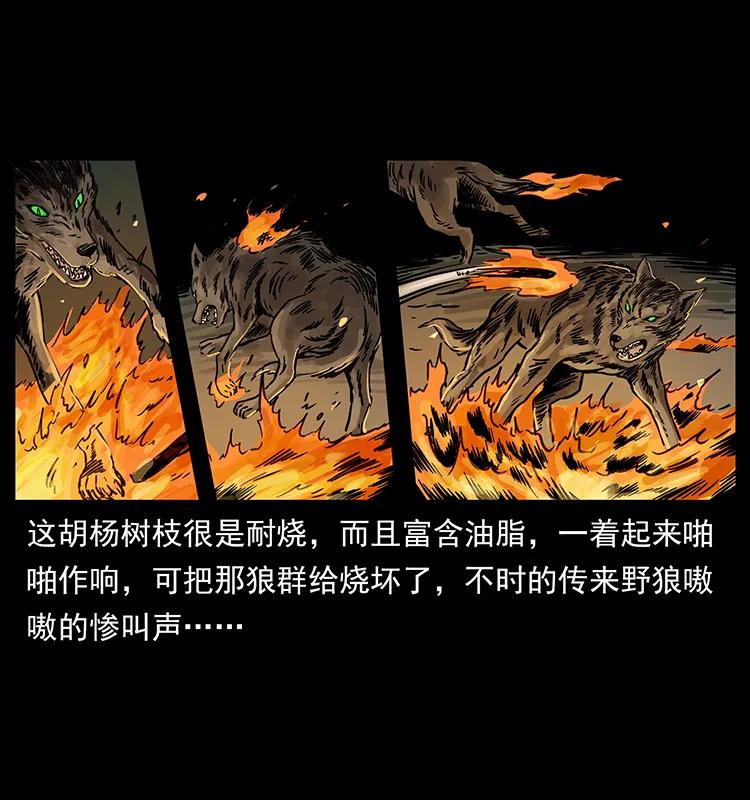 幽冥诡匠 255 天阴石 第50页