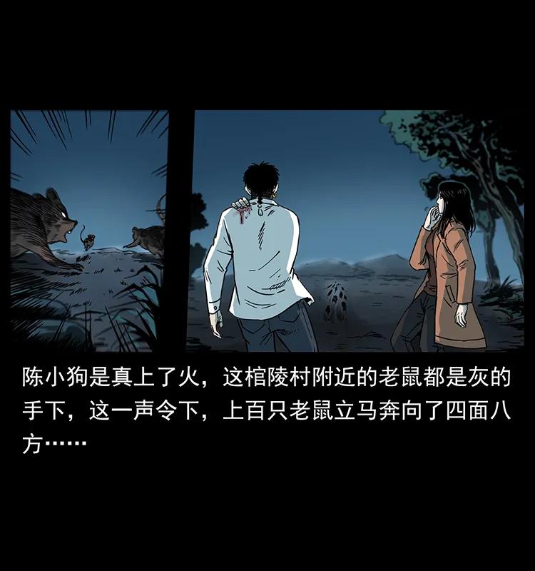 幽冥诡匠 258 身后的危机 第50页