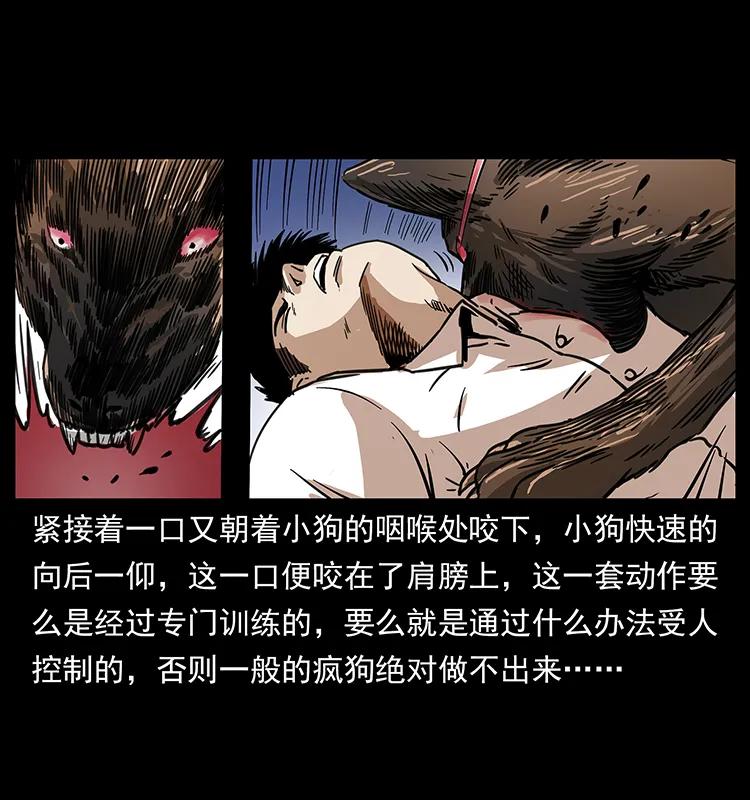 幽冥诡匠 258 身后的危机 第44页