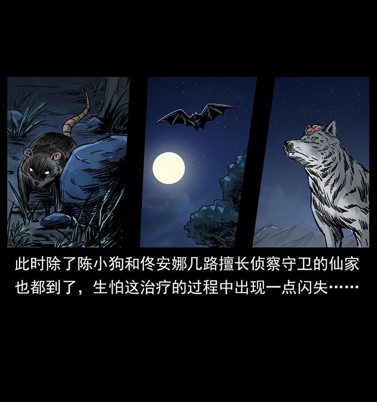 幽冥诡匠 259 人盂 第78页