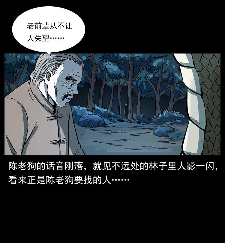 幽冥诡匠 262 藏地神族 第51页