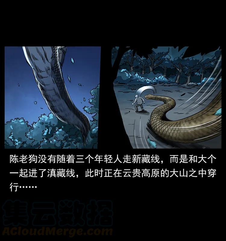 幽冥诡匠 262 藏地神族 第49页