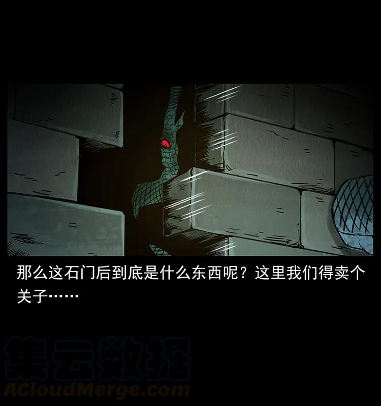 幽冥诡匠 262 藏地神族 第29页
