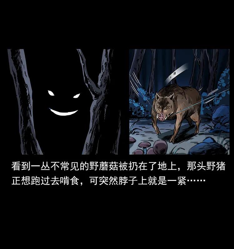 幽冥诡匠 263 恐怖杀人峰 第48页