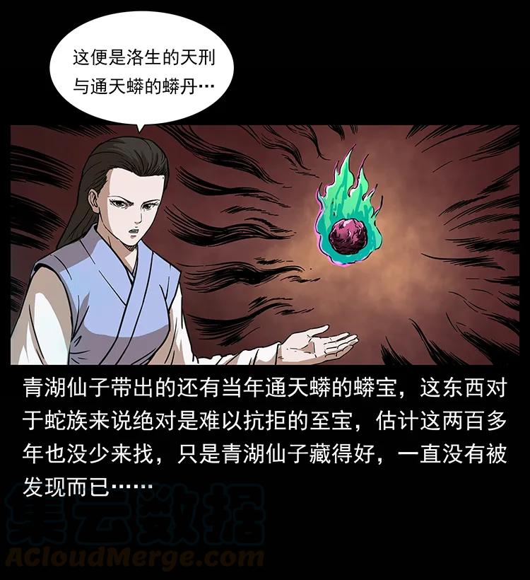 幽冥诡匠 264 抚仙之战 第41页