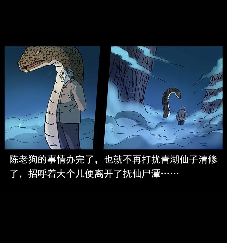 幽冥诡匠 264 抚仙之战 第47页