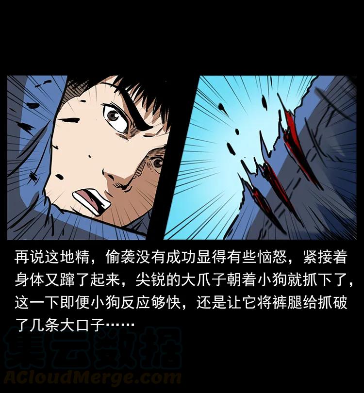 幽冥诡匠 267 万山之祖——昆仑！ 第45页