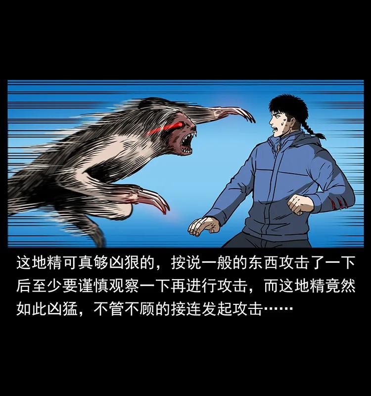 幽冥诡匠 267 万山之祖——昆仑！ 第50页