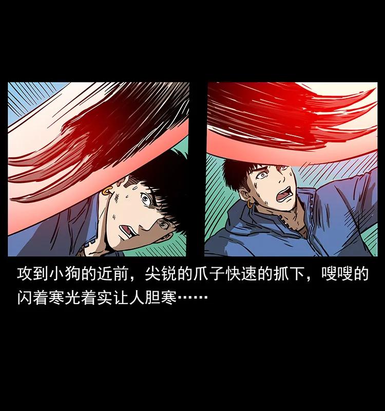 幽冥诡匠 267 万山之祖——昆仑！ 第51页