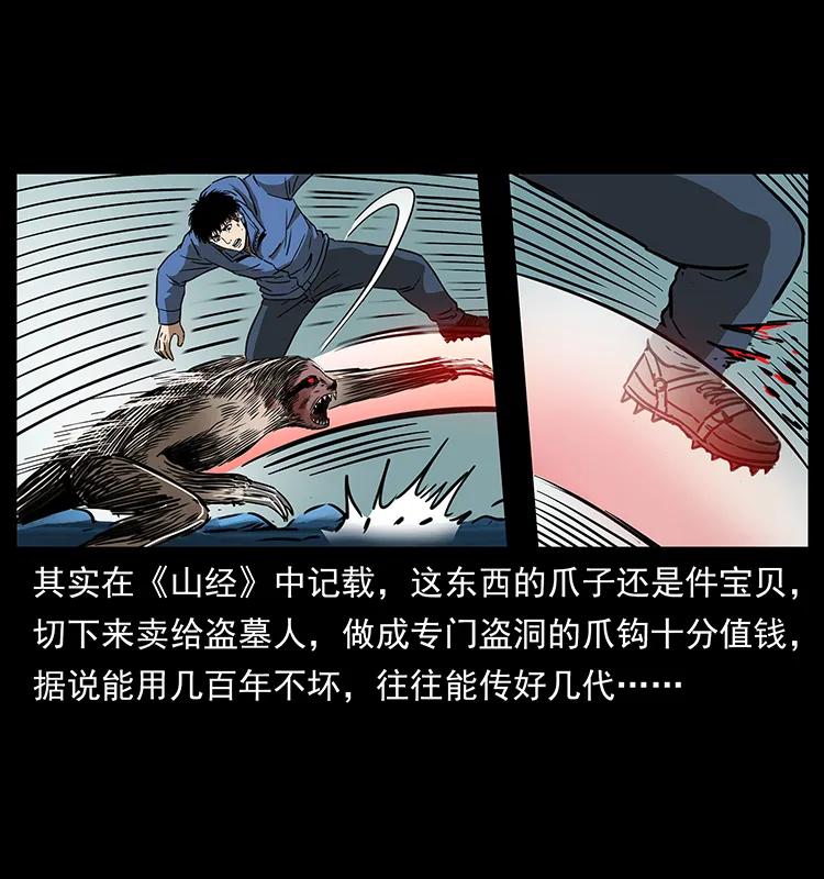 幽冥诡匠 267 万山之祖——昆仑！ 第52页