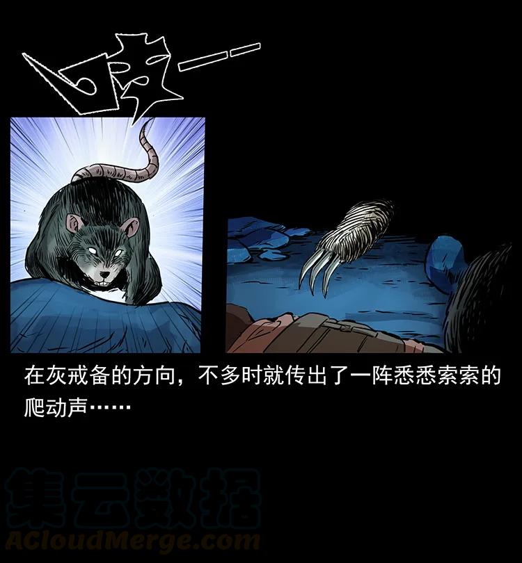 幽冥诡匠 267 万山之祖——昆仑！ 第29页