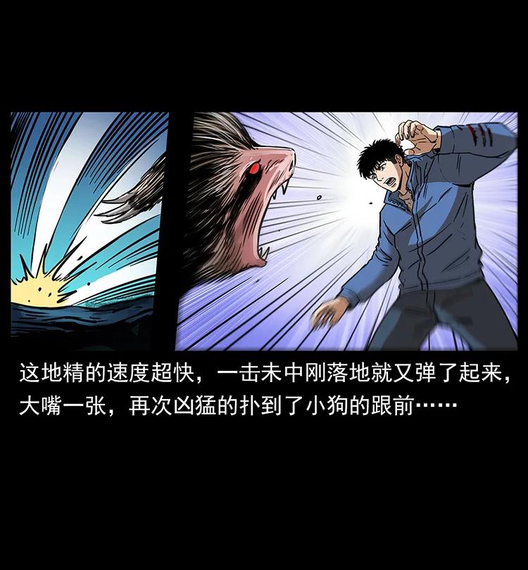 幽冥诡匠 267 万山之祖——昆仑！ 第46页