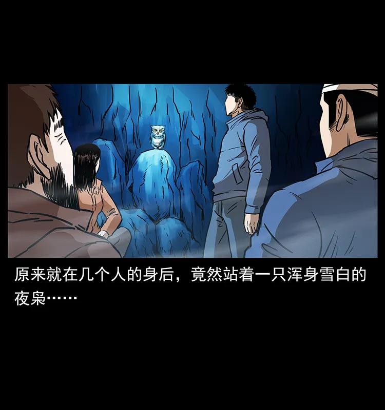 幽冥诡匠 267 万山之祖——昆仑！ 第80页