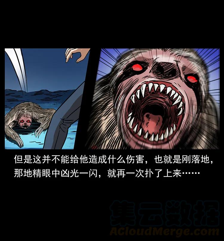 幽冥诡匠 267 万山之祖——昆仑！ 第49页