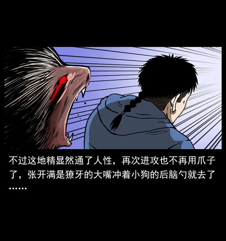 幽冥诡匠 267 万山之祖——昆仑！ 第58页