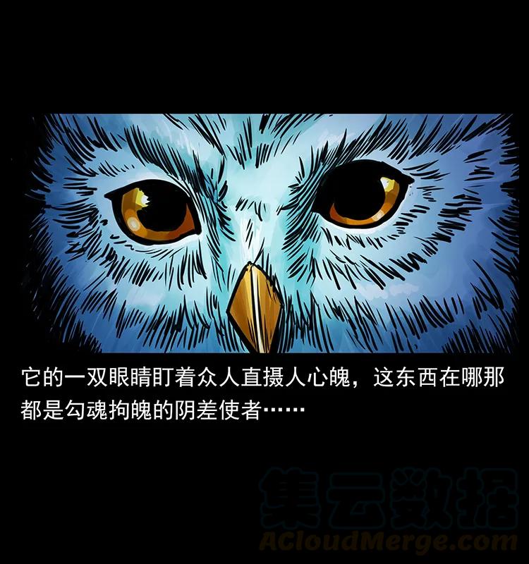 幽冥诡匠 267 万山之祖——昆仑！ 第81页