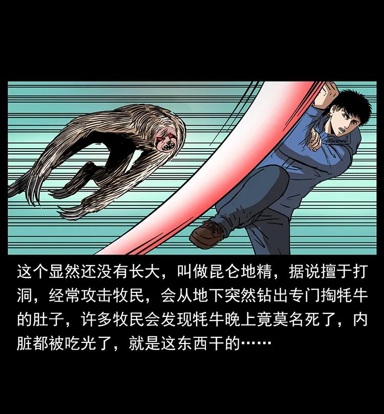 幽冥诡匠 267 万山之祖——昆仑！ 第44页