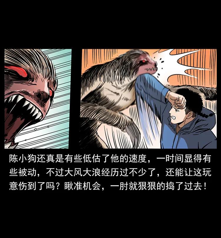 幽冥诡匠 267 万山之祖——昆仑！ 第47页
