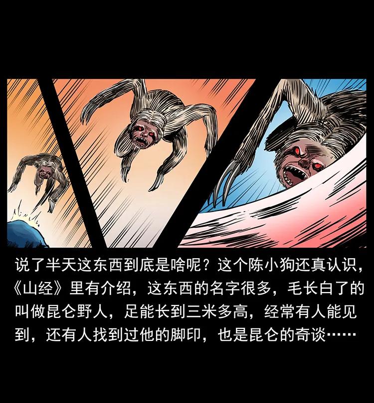 幽冥诡匠 267 万山之祖——昆仑！ 第43页
