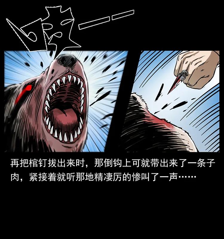 幽冥诡匠 267 万山之祖——昆仑！ 第62页