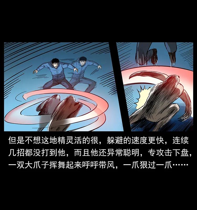 幽冥诡匠 267 万山之祖——昆仑！ 第55页