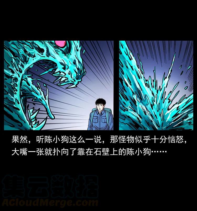 幽冥诡匠 268 昆仑精灵 第81页