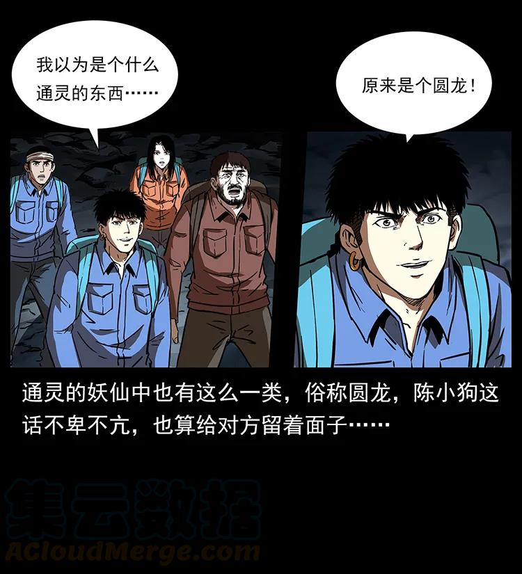 幽冥诡匠 269 昆仑守卫 第29页