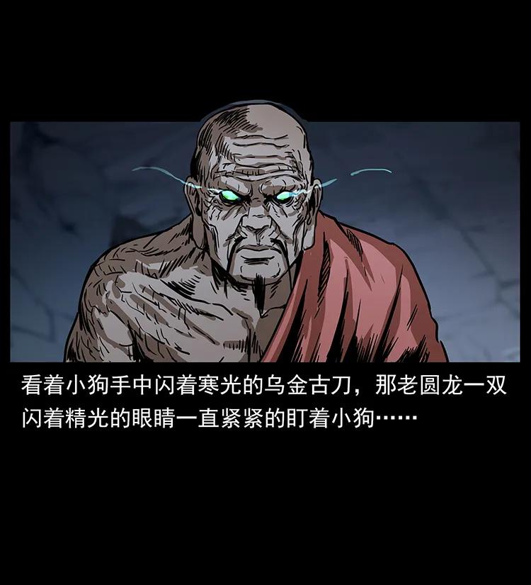 幽冥诡匠 269 昆仑守卫 第46页