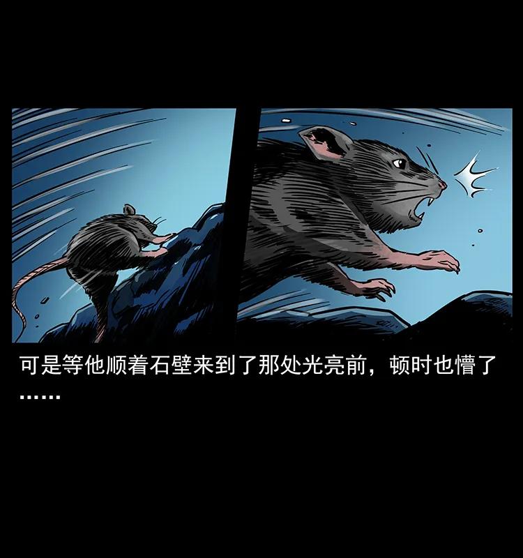 幽冥诡匠 270 黑暗循环 第86页