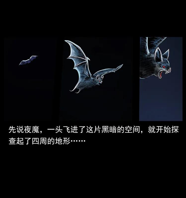 幽冥诡匠 270 黑暗循环 第80页