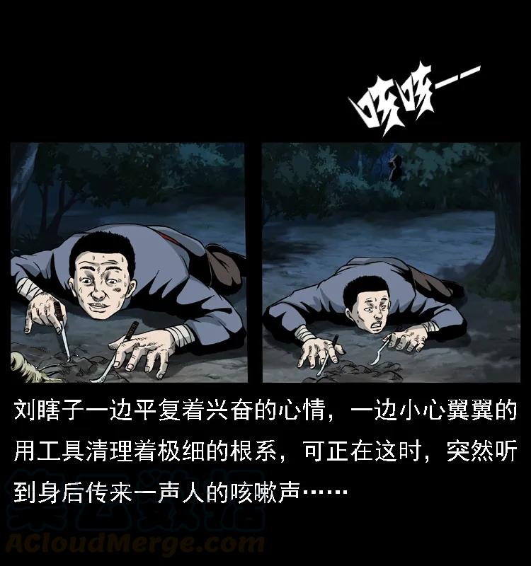 幽冥诡匠 027 刘瞎子憋宝 第29页