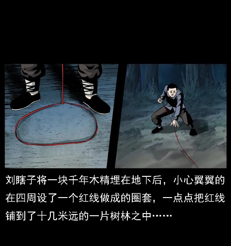 幽冥诡匠 027 刘瞎子憋宝 第15页