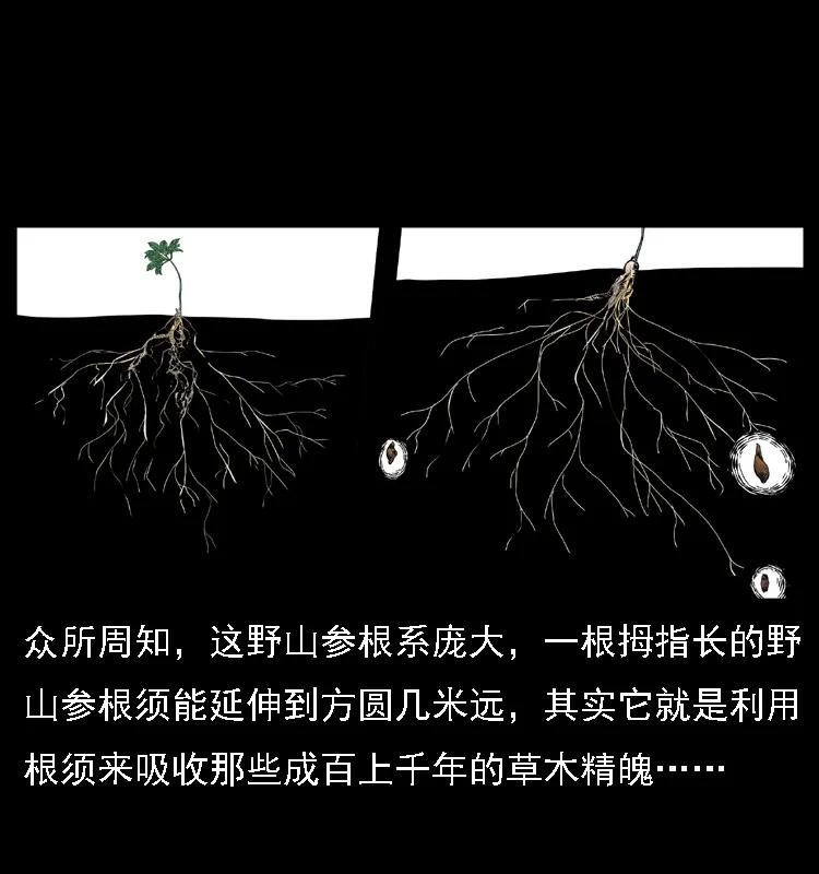 幽冥诡匠 027 刘瞎子憋宝 第14页