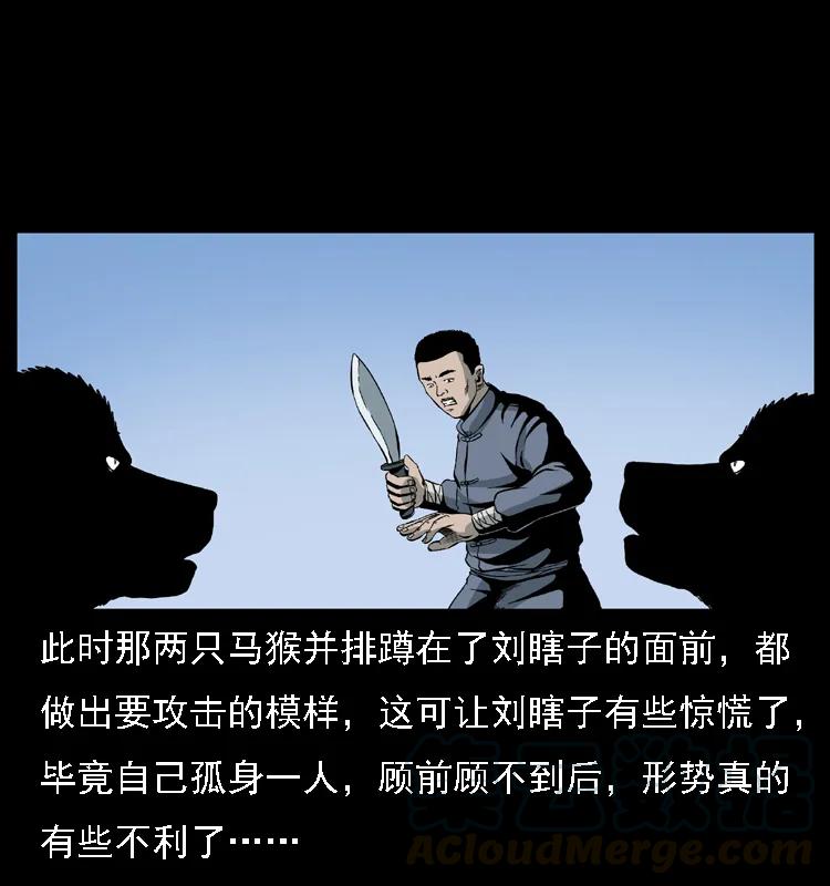 幽冥诡匠 027 刘瞎子憋宝 第45页