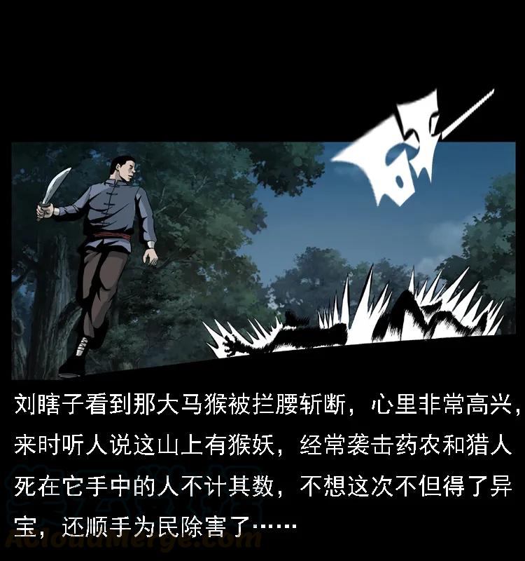幽冥诡匠 027 刘瞎子憋宝 第41页