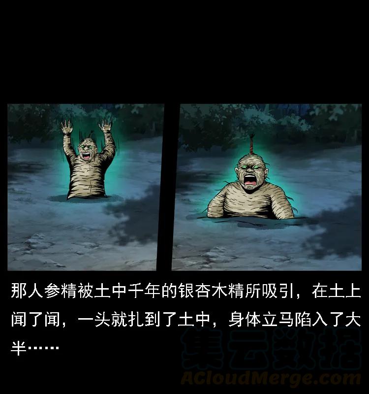 幽冥诡匠 027 刘瞎子憋宝 第21页