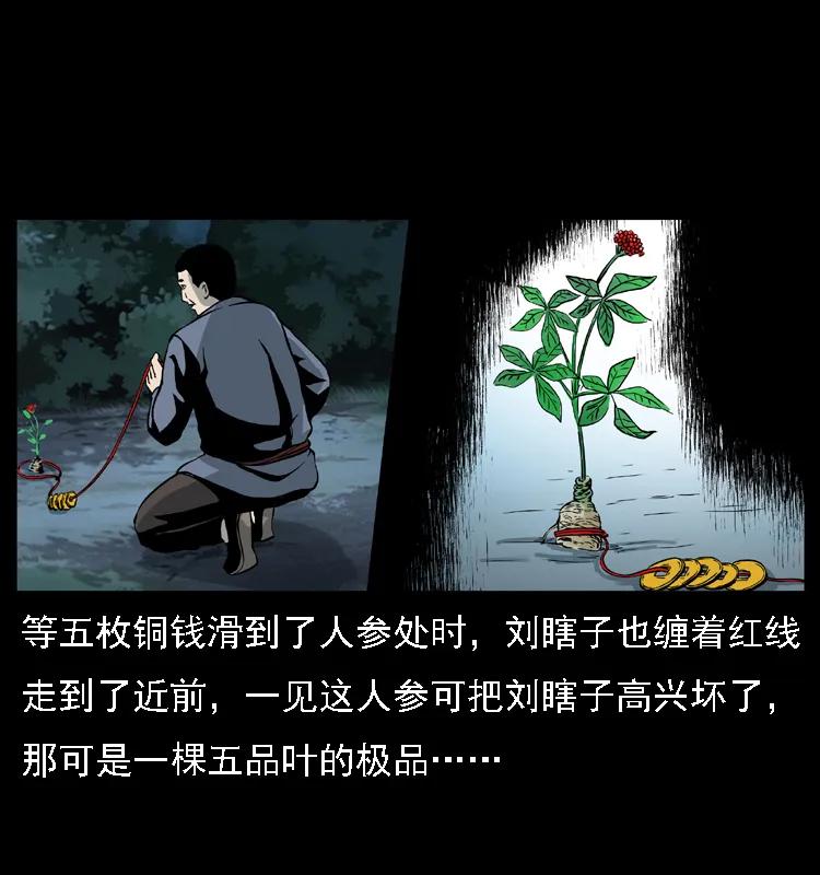 幽冥诡匠 027 刘瞎子憋宝 第24页